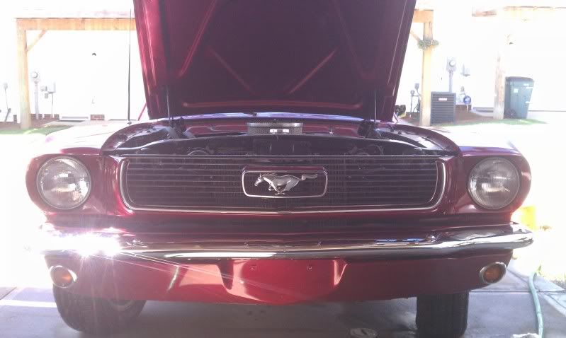 [Image: IMAG0387.jpg]