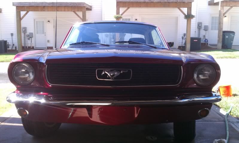 [Image: IMAG0388.jpg]