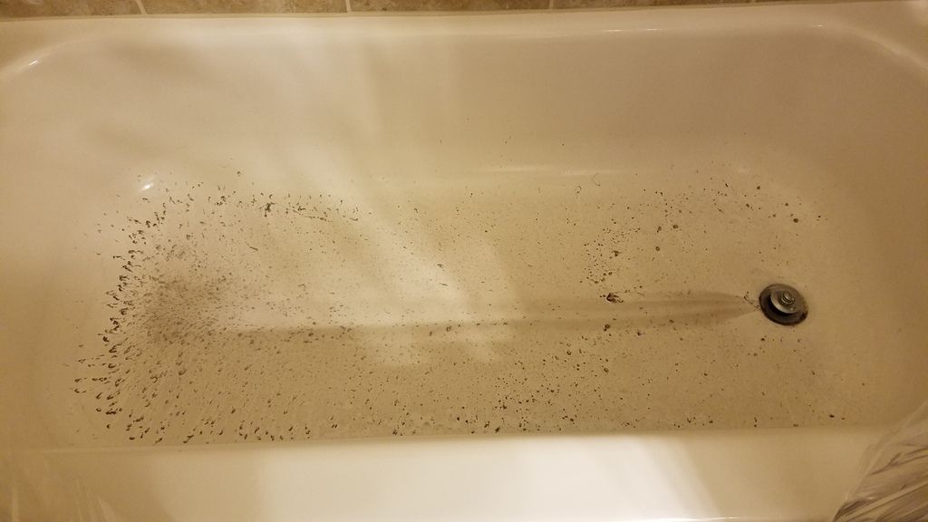 [Image: 20170111_144430_zpskldhidaw.jpg~original]