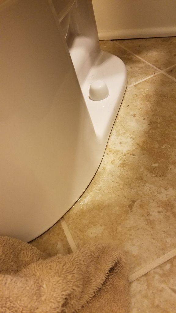 [Image: 20170111_144723_zpsw7oje5jn.jpg~original]