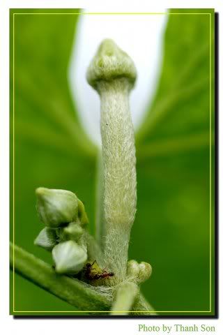 Hội Thi Chjm 5s - 1