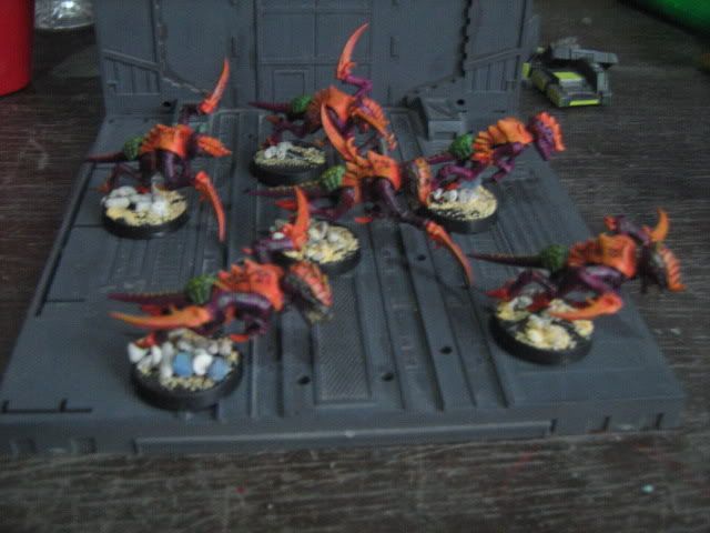 Forum Image: http://img.photobucket.com/albums/v403/raipo/IMG_6673.jpg