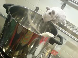 Photo Sharing and Video Hosting at Photobucket