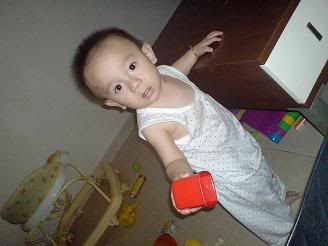 Photo Sharing and Video Hosting at Photobucket