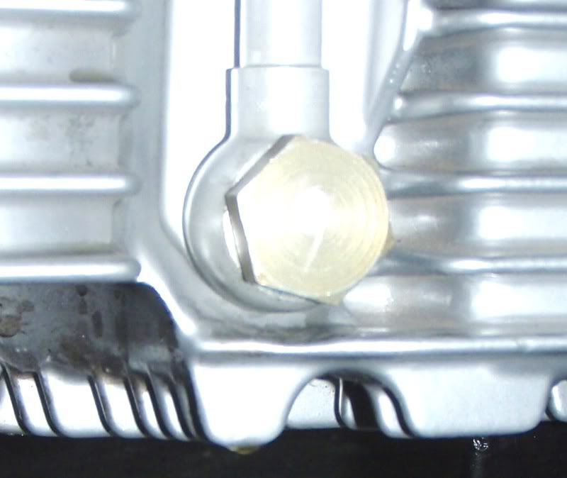 P2210078ampli.jpg