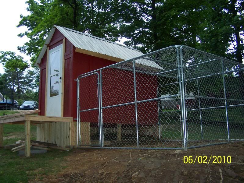 dog kennel run BackYard Chickens Learn How to Raise Chickens