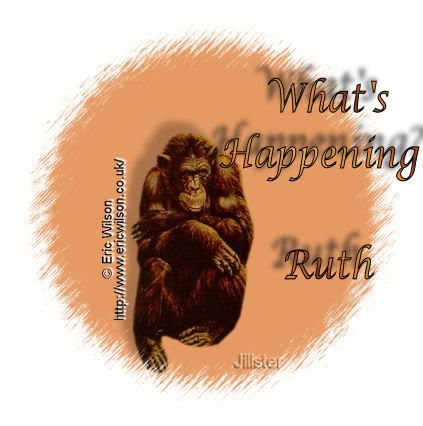 Ruth2DwhatsHappening2Dtime2Dfor2Dre.jpg picture by LovingLifeRuthie