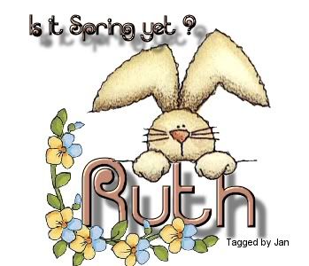 SpringBunny20Ruth20byjan59.jpg picture by LovingLifeRuthie