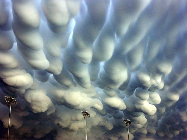 mammatus.jpg