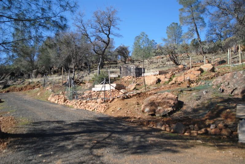 Finally Doing It... - Homesteading Questions