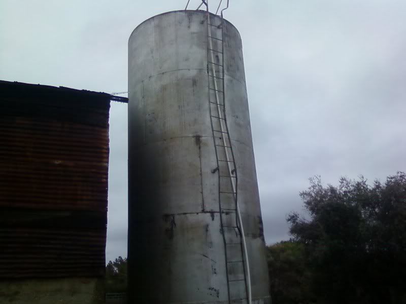 Finally Doing It... - Homesteading Questions