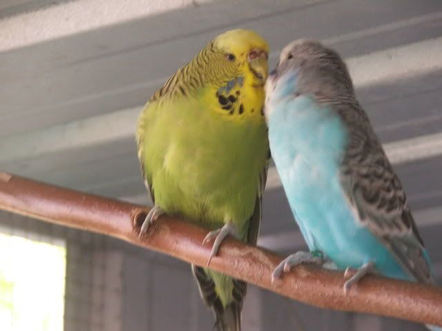 21sept08006.jpg