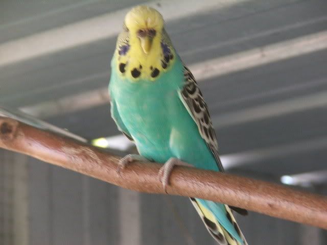 21sept08010.jpg