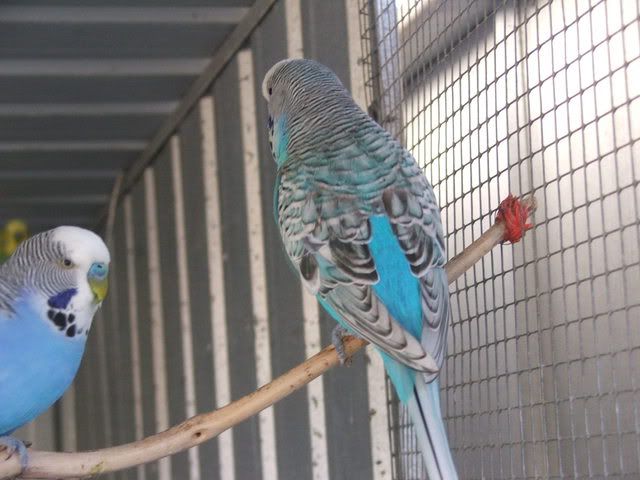 21sept08013.jpg