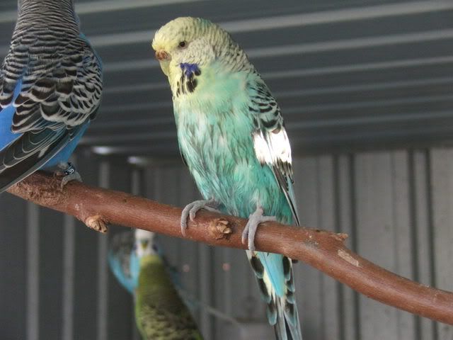 21sept08015.jpg