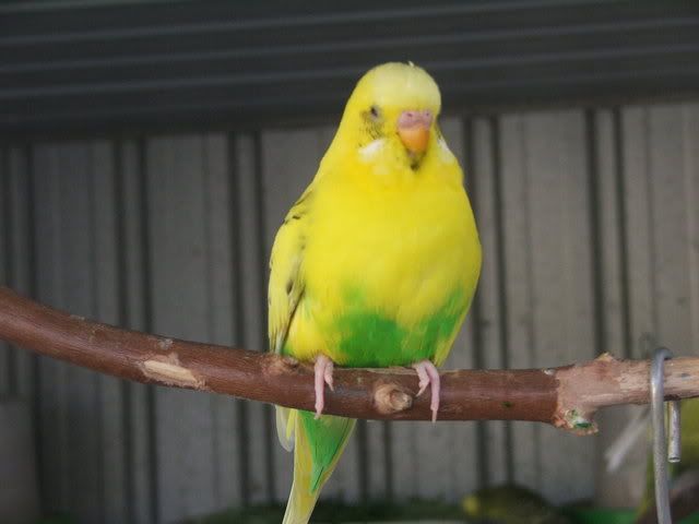 21sept08016.jpg