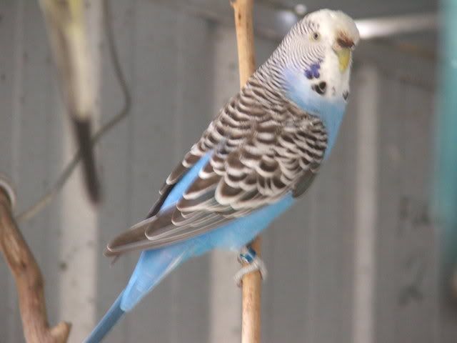 21sept08017.jpg