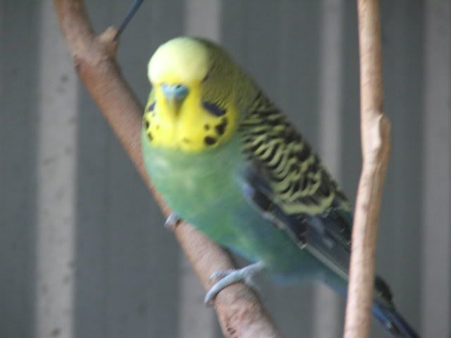 21sept08020.jpg