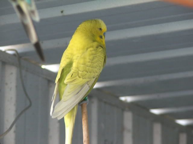 21sept08023.jpg