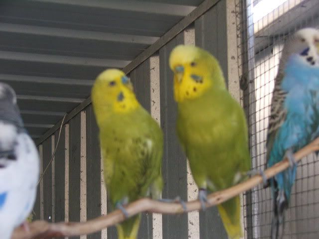 21sept08026.jpg