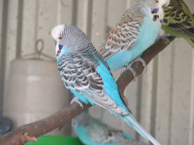 21sept08028.jpg