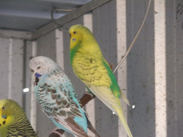 21sept08030.jpg