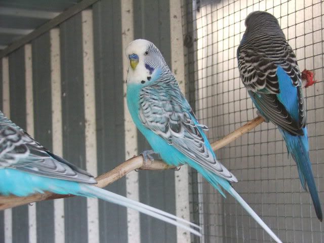 21sept08043.jpg