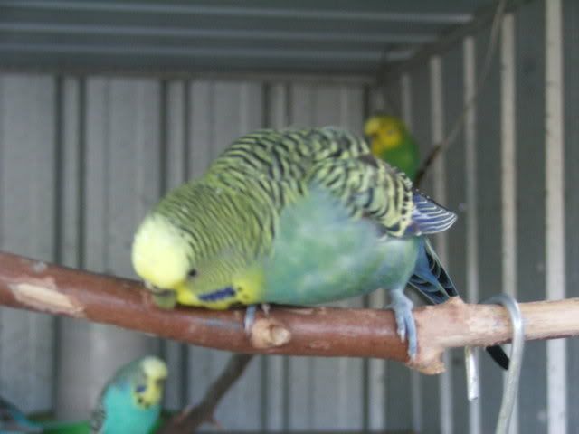 21sept08050.jpg