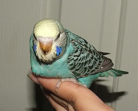 reep-28days2.jpg