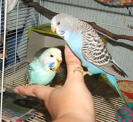 reep-berrytalk.jpg