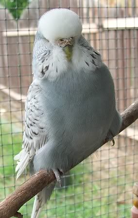 2june07010-j.jpg