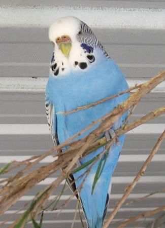 2june07014.jpg