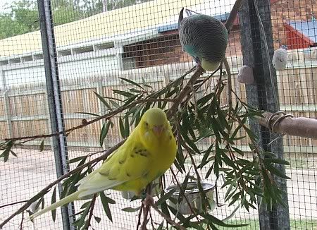 2june07063.jpg