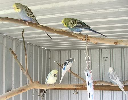 groupshot.jpg