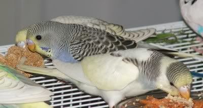 yum-food.jpg
