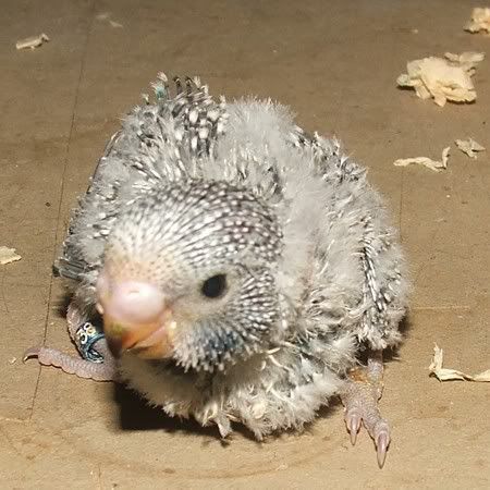 16oct032.jpg