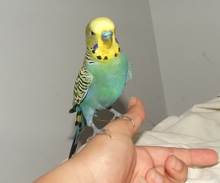 30sept5bubs011.jpg