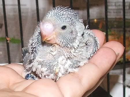 7oct037.jpg