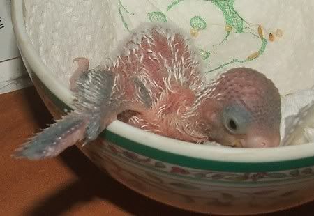 second-oct-2006004.jpg