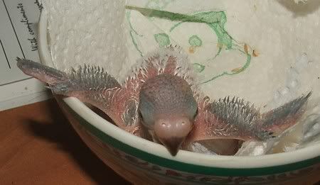 second-oct-2006005.jpg
