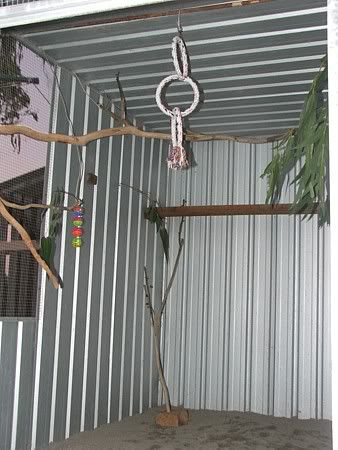 cagessetup-sun2.jpg