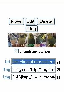 screen.jpg