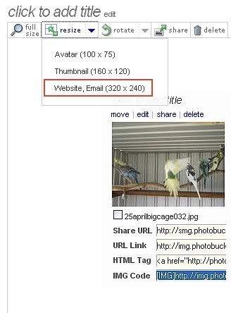 resizehelp3.jpg