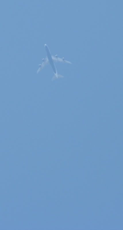 IMAGE: http://img.photobucket.com/albums/v406/scottellis/BA747nocontrail.jpg