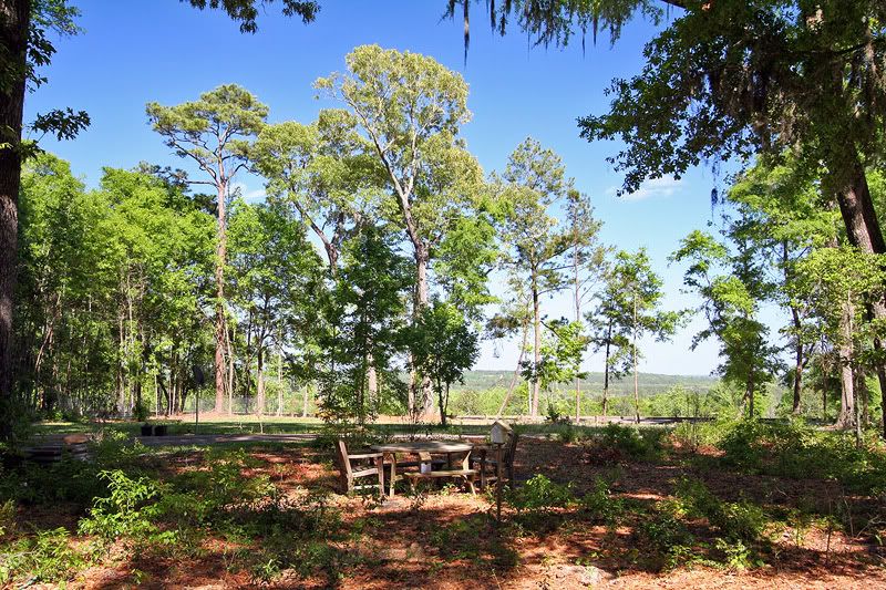 IMAGE: http://img.photobucket.com/albums/v406/speedy_2/yard1.jpg