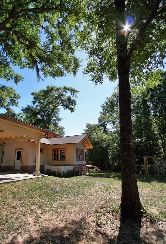 IMAGE: http://img.photobucket.com/albums/v406/speedy_2/yard4.jpg