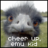 http://img.photobucket.com/albums/v407/kifcandecideonanavatar/Avatars%20made%20for%20me/emukid.gif