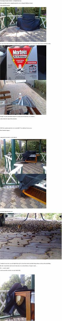 beegrill1.jpg