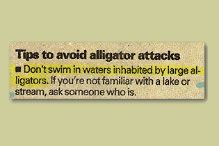 really2.gif