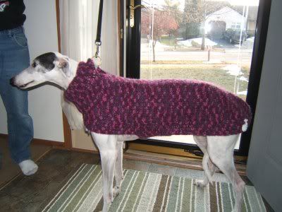purplesweater.jpg